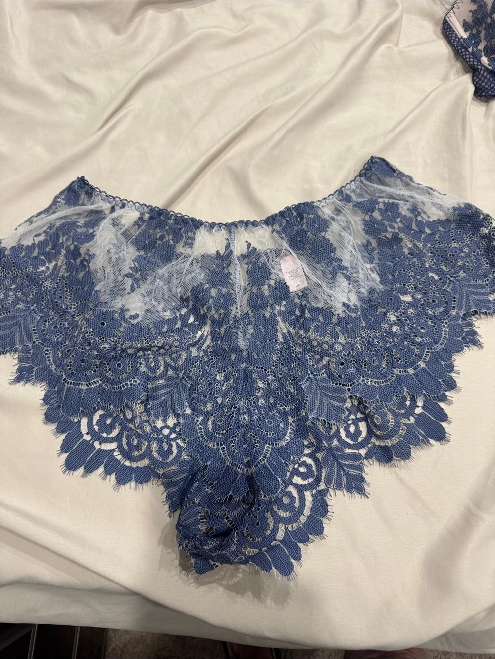Lace Cheeky Bikini Briefs in Dusty Blue B15